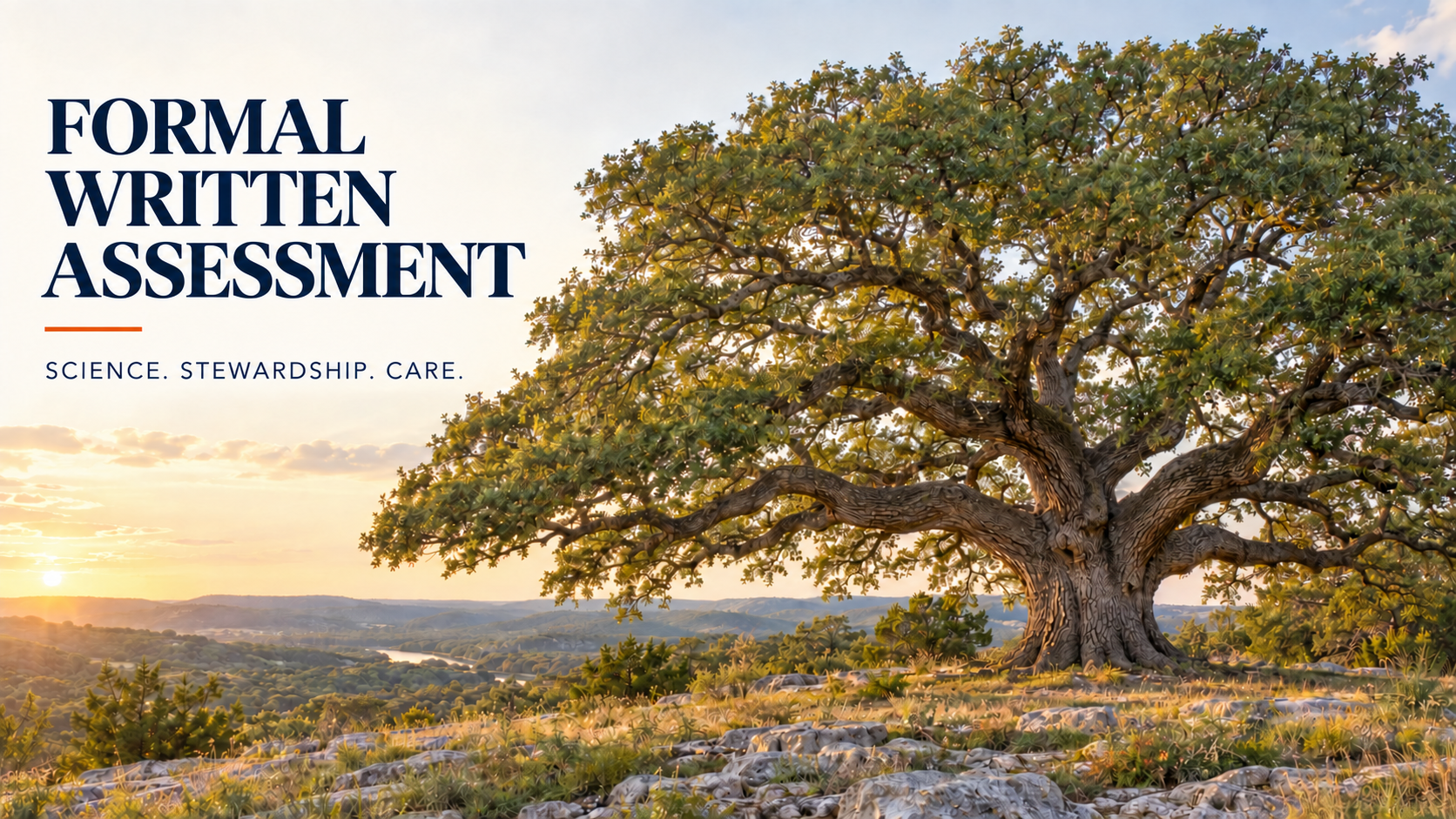 Illustrated Texas live oak at sunset with the lettering: Formal Written Assessment. Science. Stewardship. Care.