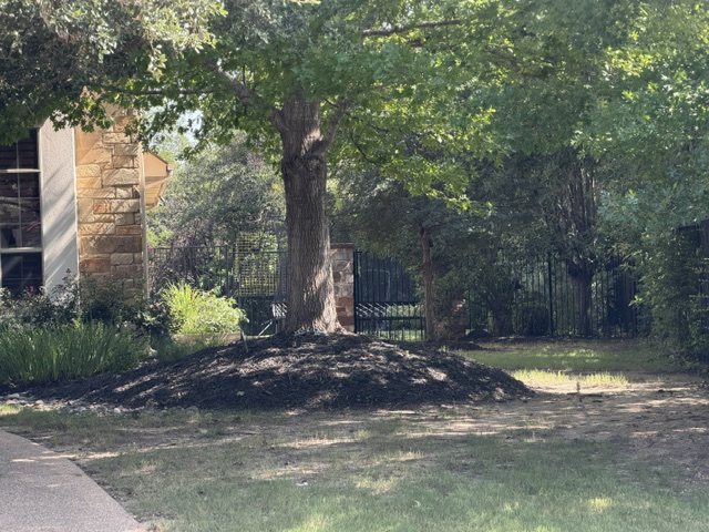 A mulch volcano piled high against a tree trunk, burying the root flare