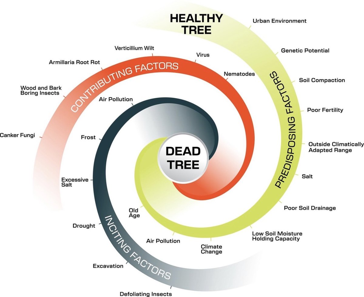 The spiral of decline: a healthy tree at the rim spirals inward through predisposing, inciting, and contributing factors to a dead tree at the core