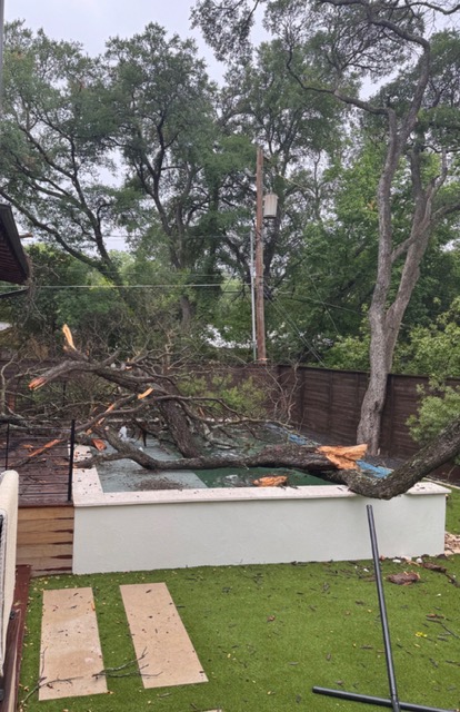 A whole tree failed and fell into a backyard swimming pool near overhead power lines